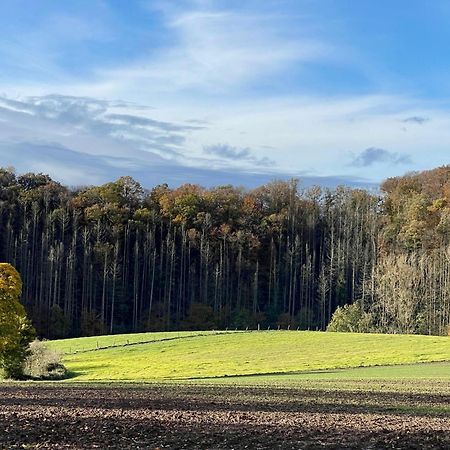 Ferienhaus Kleine Auszeit In Der Natur Mit Kamin, Yogamatten, Schoene Kueche 엑스테르탈 외부 사진